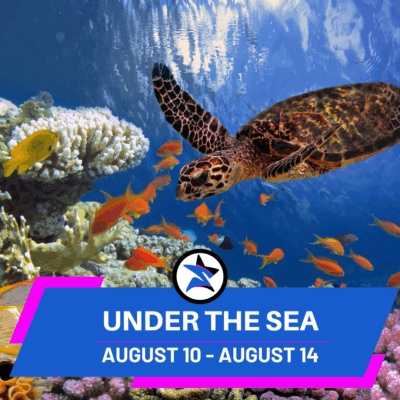 Supreme Summer Camp (5)